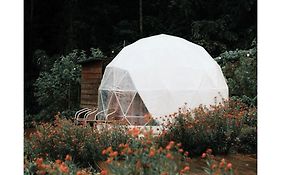 A'Moss Farmstay